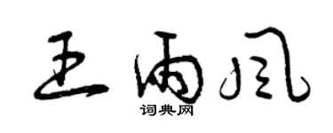 曾庆福王雨风草书个性签名怎么写