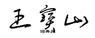 曾庆福王宝山草书个性签名怎么写