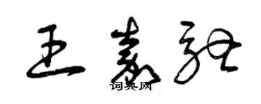 曾庆福王嘉驰草书个性签名怎么写
