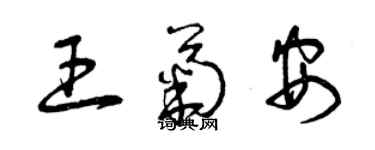 曾庆福王菊安草书个性签名怎么写