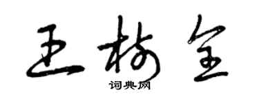 曾庆福王树全草书个性签名怎么写