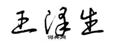 曾庆福王泽生草书个性签名怎么写