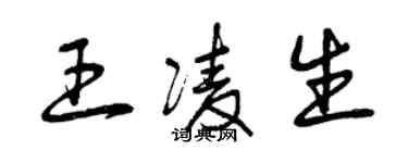 曾庆福王凌生草书个性签名怎么写