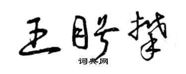 曾庆福王盼攀草书个性签名怎么写