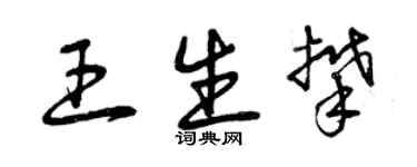 曾庆福王生攀草书个性签名怎么写