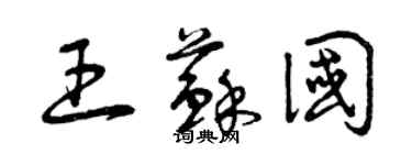 曾庆福王苏国草书个性签名怎么写