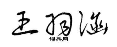 曾庆福王羽涵草书个性签名怎么写