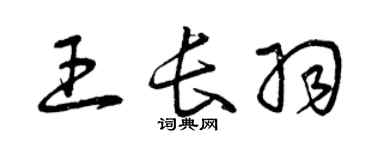 曾庆福王长羽草书个性签名怎么写