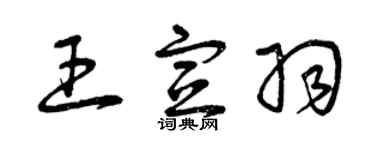 曾庆福王宣羽草书个性签名怎么写