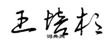 曾庆福王培杉草书个性签名怎么写