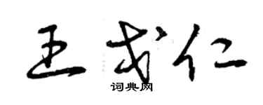 曾庆福王戈仁草书个性签名怎么写