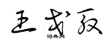曾庆福王戈殷草书个性签名怎么写