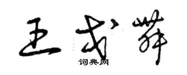 曾庆福王戈舞草书个性签名怎么写