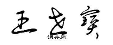 曾庆福王世宝草书个性签名怎么写