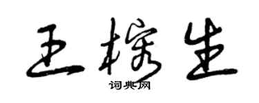 曾庆福王榕生草书个性签名怎么写