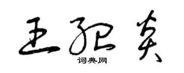 曾庆福王纪炎草书个性签名怎么写