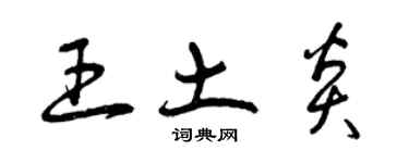 曾庆福王土炎草书个性签名怎么写