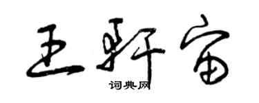 曾庆福王轩宙草书个性签名怎么写