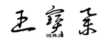 曾庆福王宝举草书个性签名怎么写