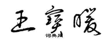 曾庆福王宝暖草书个性签名怎么写