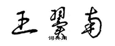 曾庆福王翼南草书个性签名怎么写