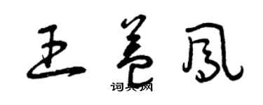 曾庆福王益凤草书个性签名怎么写