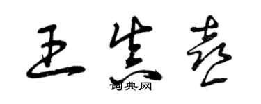 曾庆福王真喜草书个性签名怎么写