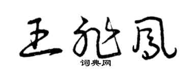 曾庆福王非凤草书个性签名怎么写