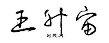 曾庆福王升宙草书个性签名怎么写
