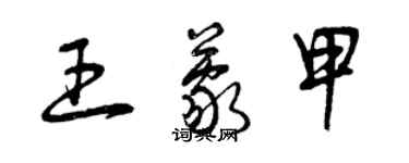 曾庆福王蒙甲草书个性签名怎么写