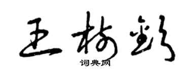 曾庆福王树钦草书个性签名怎么写
