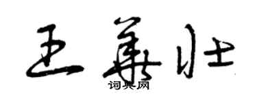 曾庆福王华壮草书个性签名怎么写