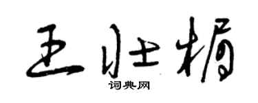 曾庆福王壮楣草书个性签名怎么写