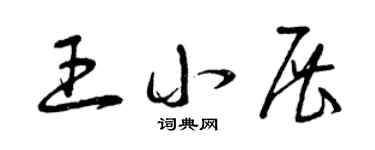 曾庆福王小展草书个性签名怎么写