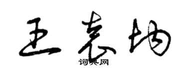 曾庆福王袁均草书个性签名怎么写