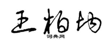 曾庆福王柏均草书个性签名怎么写