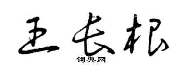 曾庆福王长根草书个性签名怎么写