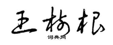 曾庆福王树根草书个性签名怎么写