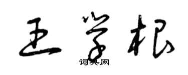 曾庆福王学根草书个性签名怎么写