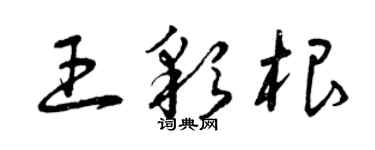 曾庆福王彩根草书个性签名怎么写