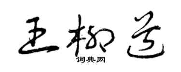 曾庆福王柳道草书个性签名怎么写