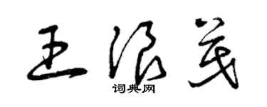 曾庆福王浪茂草书个性签名怎么写