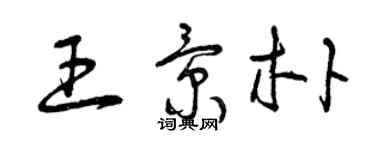 曾庆福王景朴草书个性签名怎么写