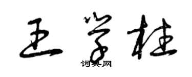 曾庆福王学柱草书个性签名怎么写