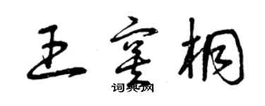 曾庆福王寞桐草书个性签名怎么写