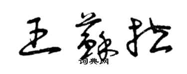 曾庆福王苏拉草书个性签名怎么写