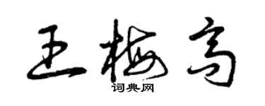 曾庆福王梅高草书个性签名怎么写