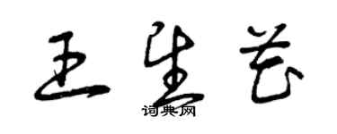 曾庆福王望花草书个性签名怎么写