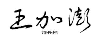 曾庆福王加澎草书个性签名怎么写