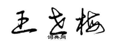 曾庆福王世梅草书个性签名怎么写